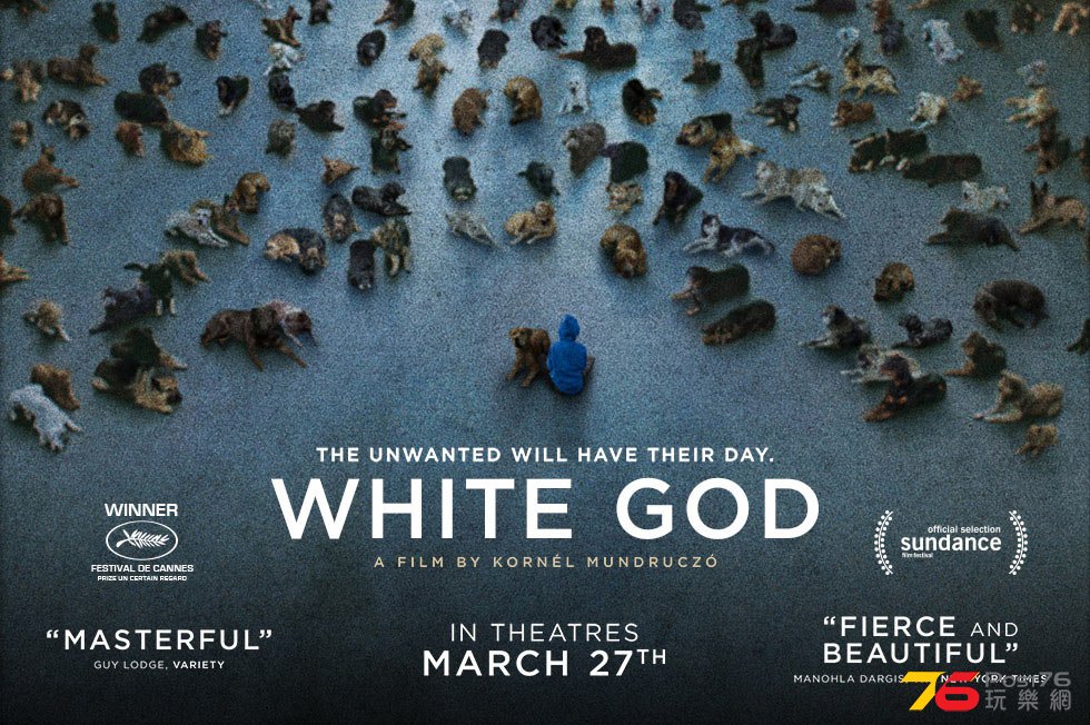 White God2.jpg