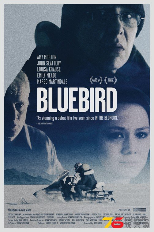 Bluebird.jpg