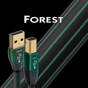 Forest-B.jpg