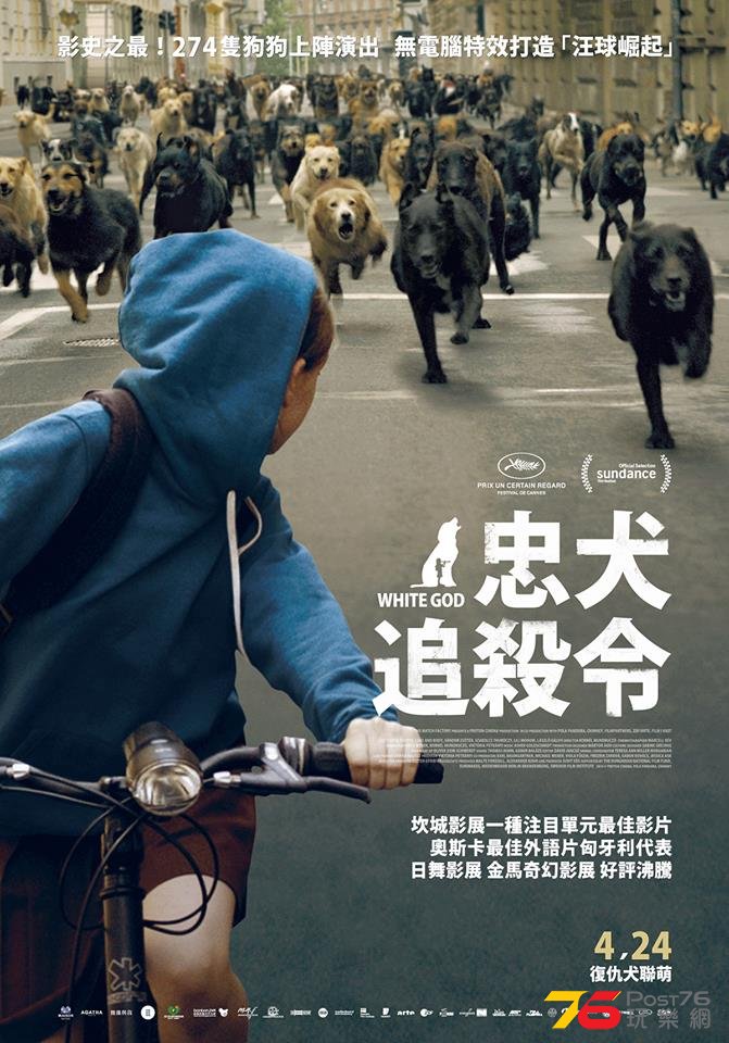 忠犬追殺令.jpg