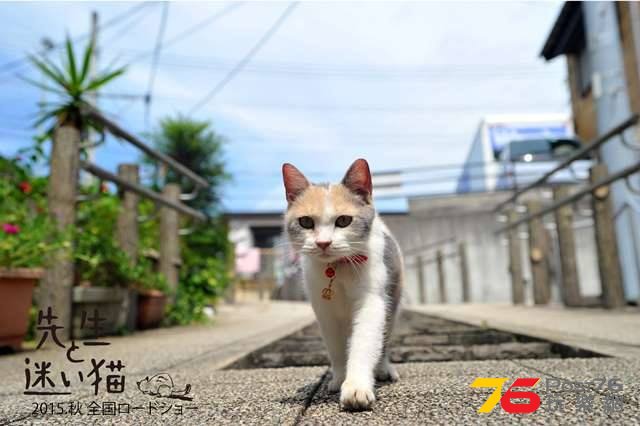 先生と迷い猫4.jpg
