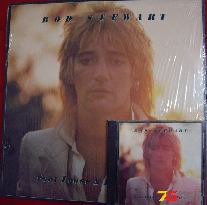 Rod Stewart - Foot Loose and Fance Free LP CD.jpg