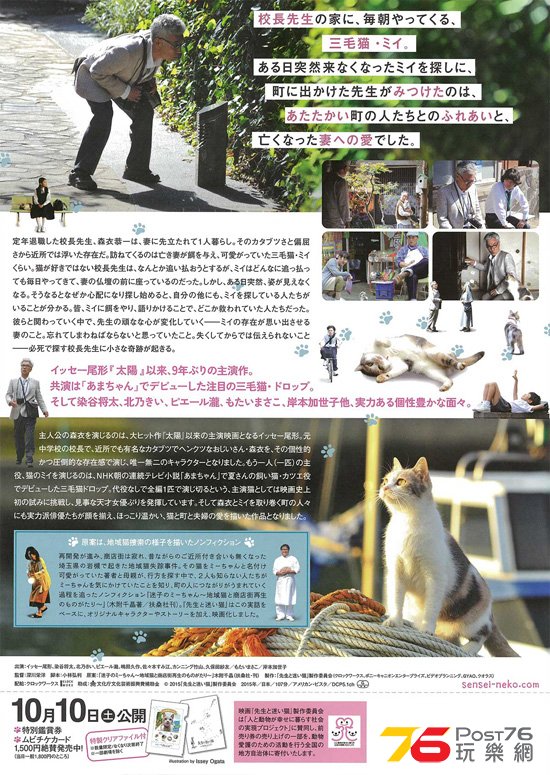 先生と迷い猫6.jpg