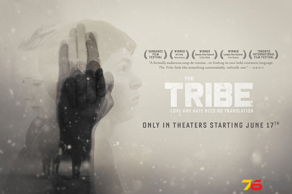 The Tribe.jpg