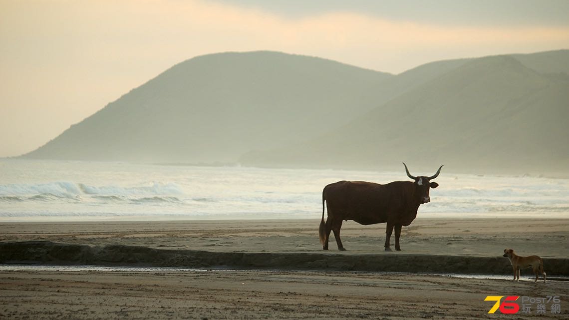 The Shore Break2.jpg