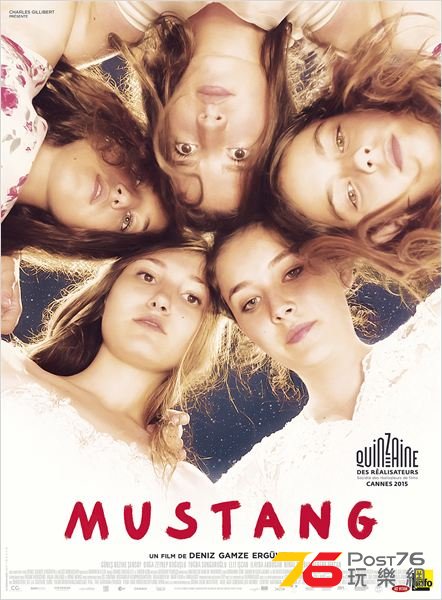 Mustang.jpg