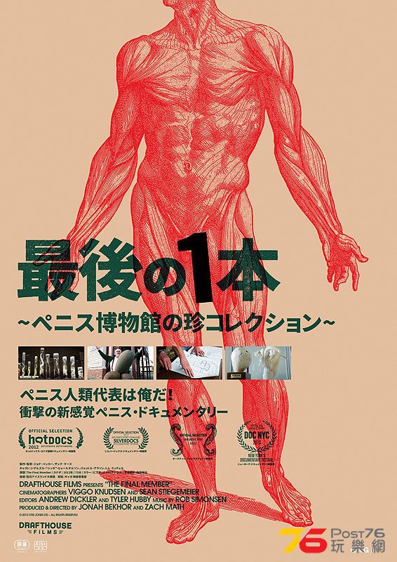 最後の1本 ペニス博物館の珍コレクション.jpg