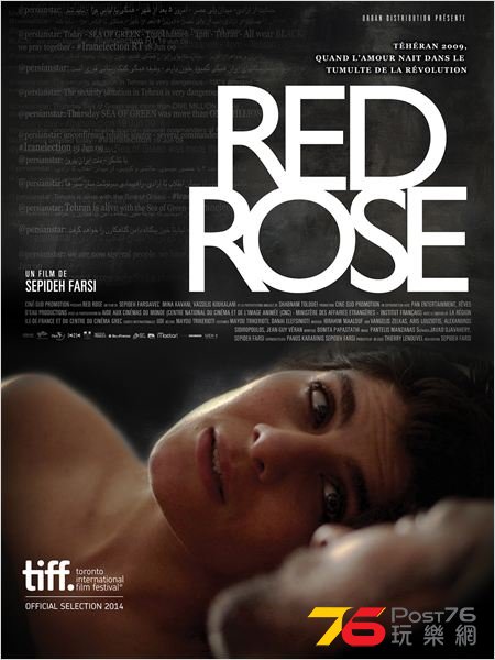 Red Rose.jpg