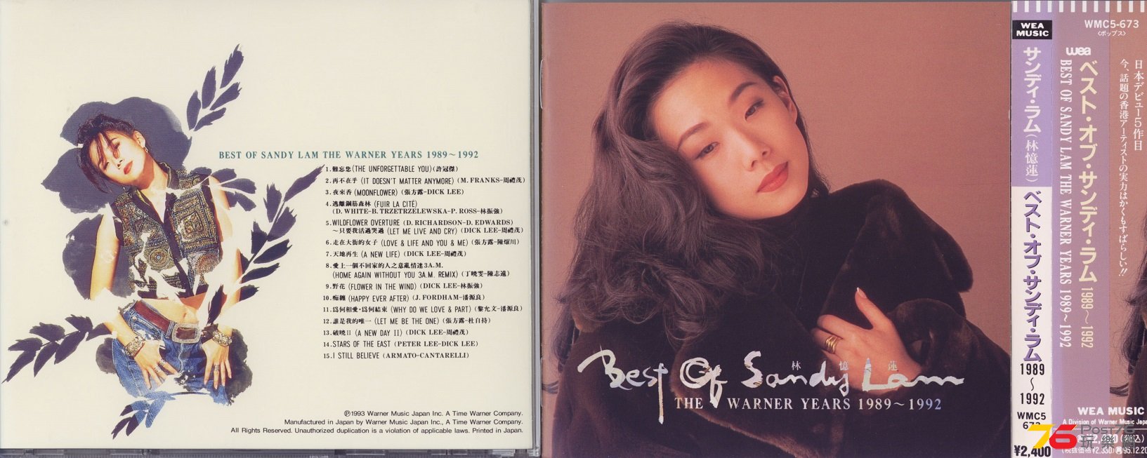 SandyLam93wanerYearsJP.jpg