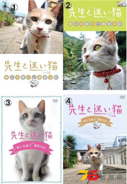 先生と迷い猫7.jpg