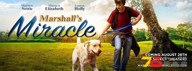 Marshall the Miracle Dog 2.jpg