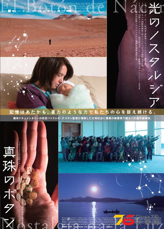 真珠のボタン 1.jpg