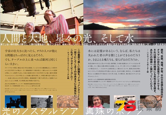 真珠のボタン 2.jpg