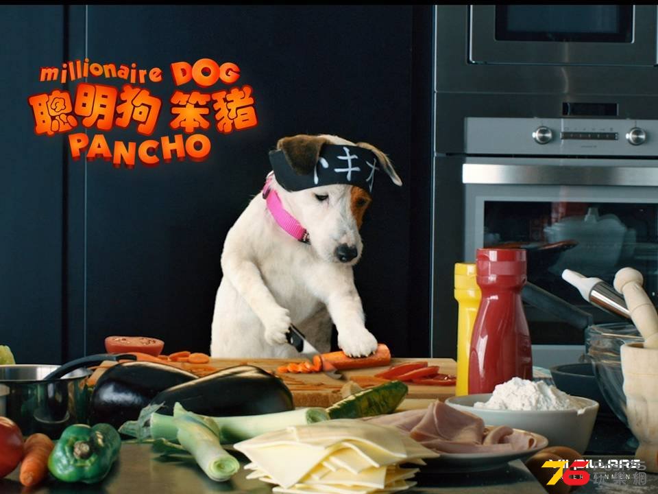 聰明狗笨豬5.jpg