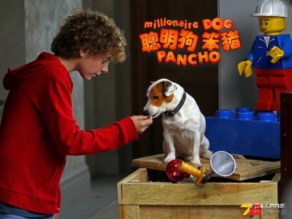 聰明狗笨豬6.jpg