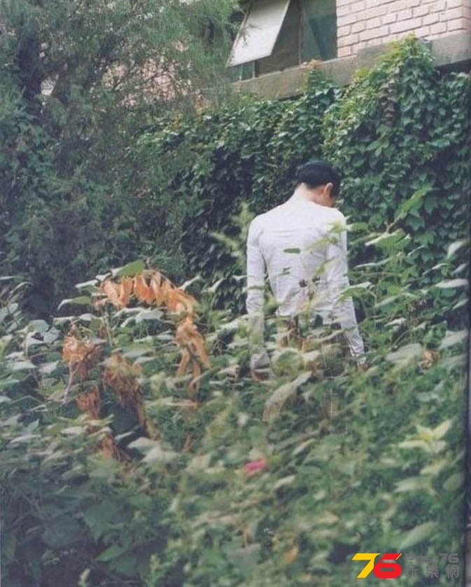 Faye-Wong6.jpg.jpg
