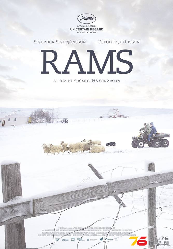 Rams 1.jpg