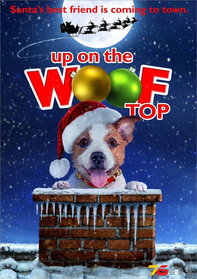 Up on the Wooftop.jpg