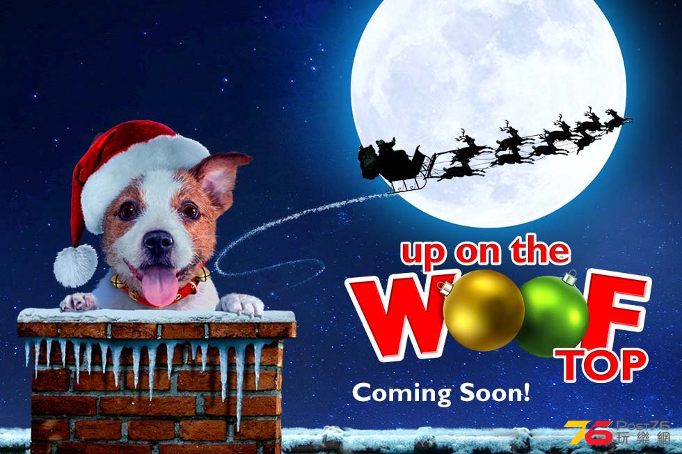 Up on the Wooftop2.jpg