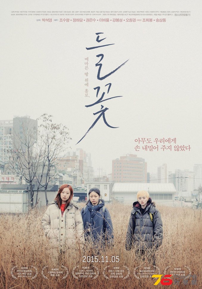 들꽃.jpg