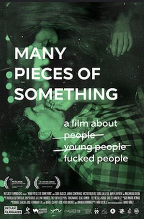 Many pieces of something.jpg