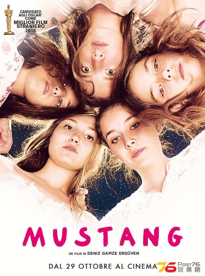 mustang 2.jpg