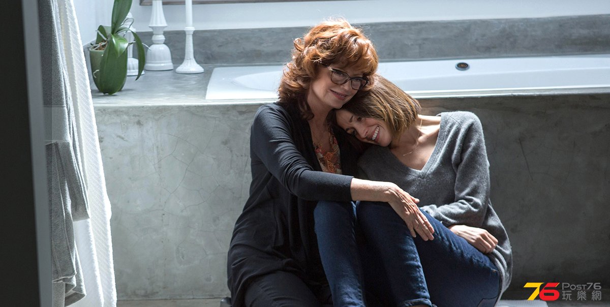 The Meddler1.jpg