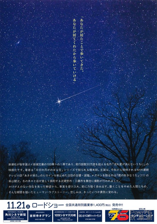 流れ星が消えないうちに.jpg