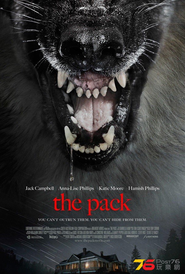 The Pack 1.jpg