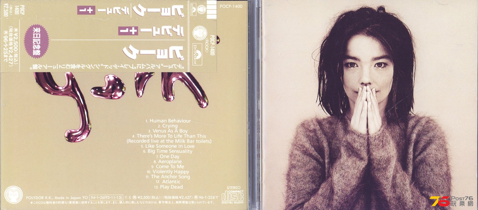 bjork93.jpg