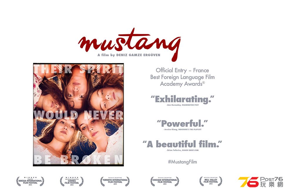 Mustang 3.jpg