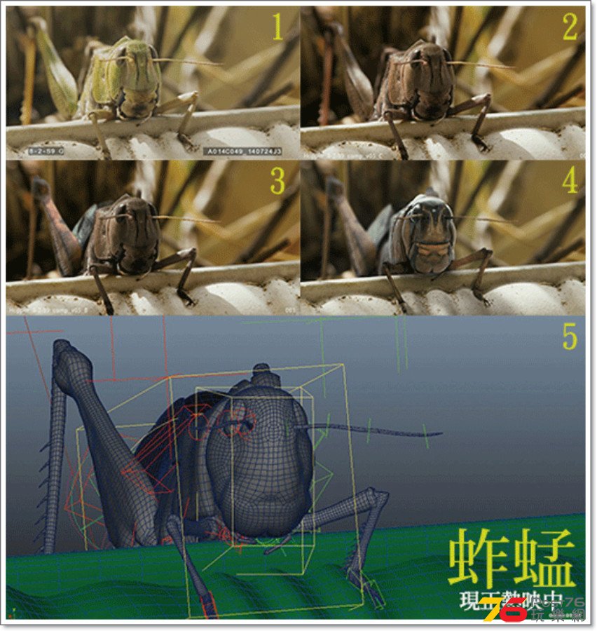%E8%9A%B1%E8%9C%A219.png