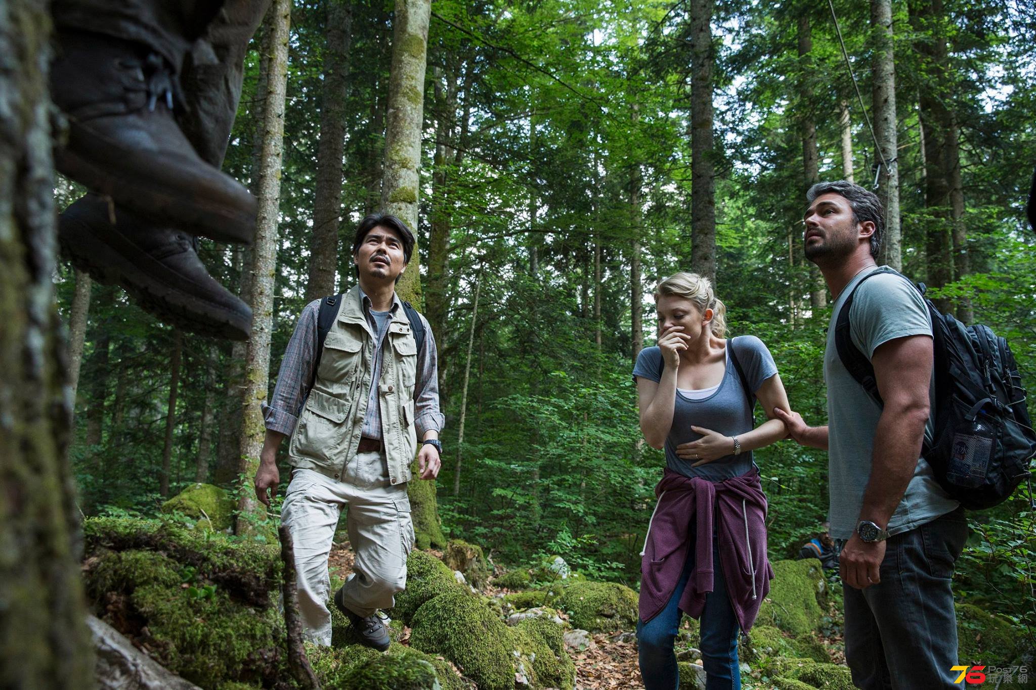 The Forest2.jpg