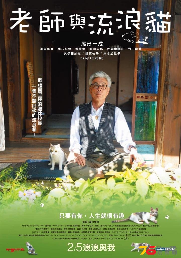 老師與流浪貓.jpg
