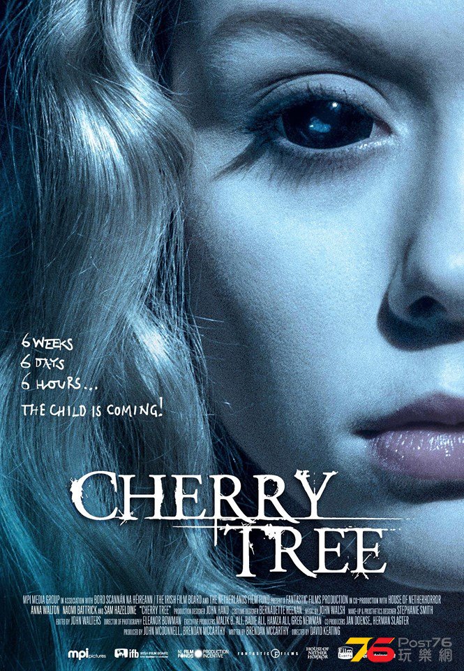 Cherry Tree 1.jpg