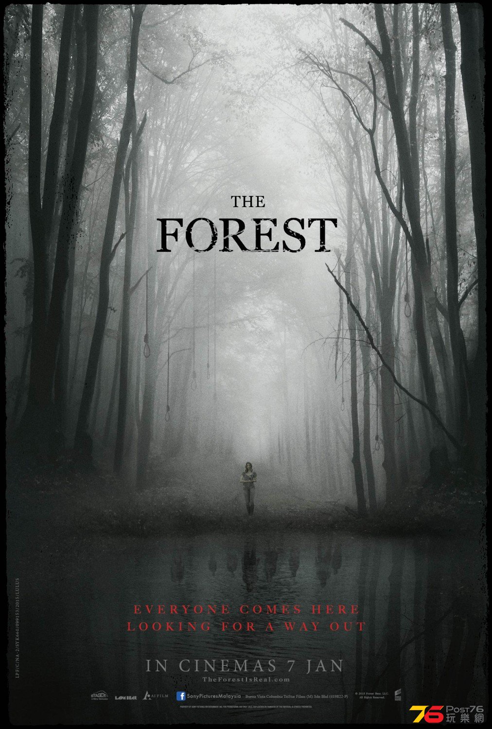 The Forest3.jpg