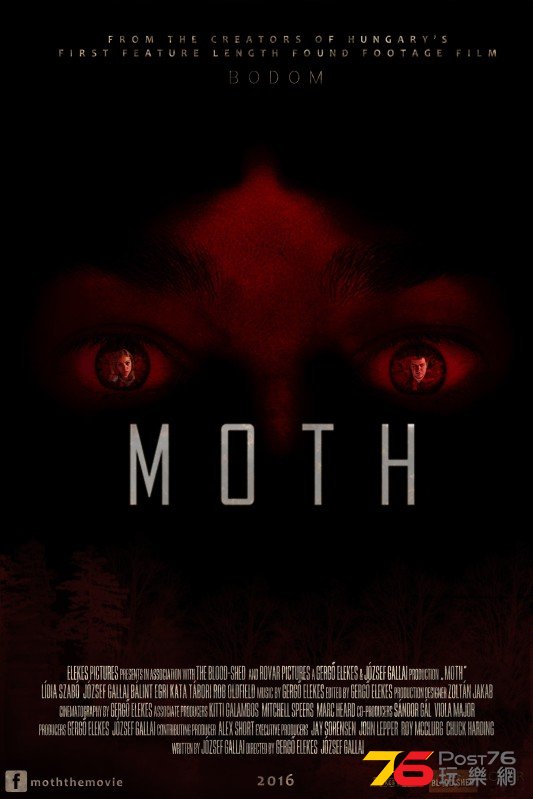 Moth1.jpg