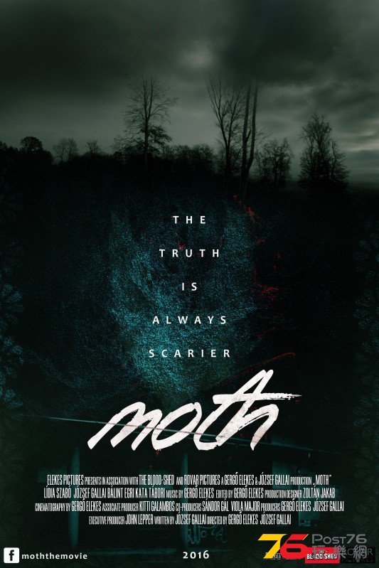 moth 2.jpg