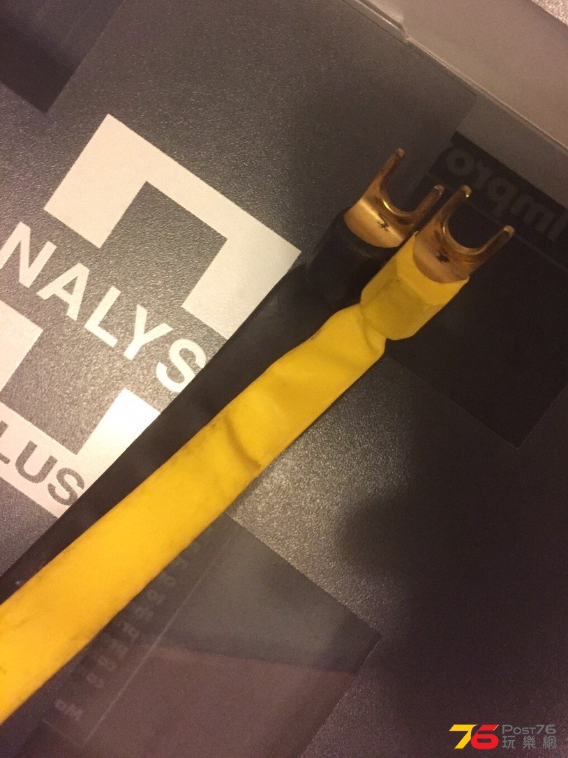 Analysis Plus 喇叭線 $950, (圖二)