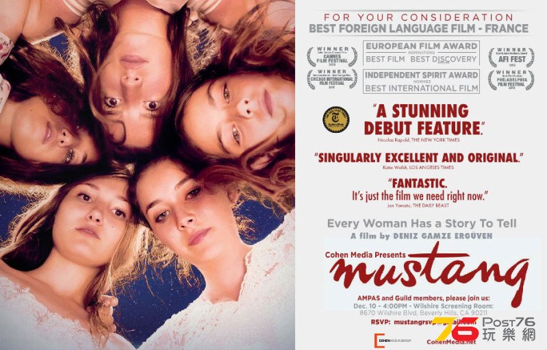 Mustang 5.jpg