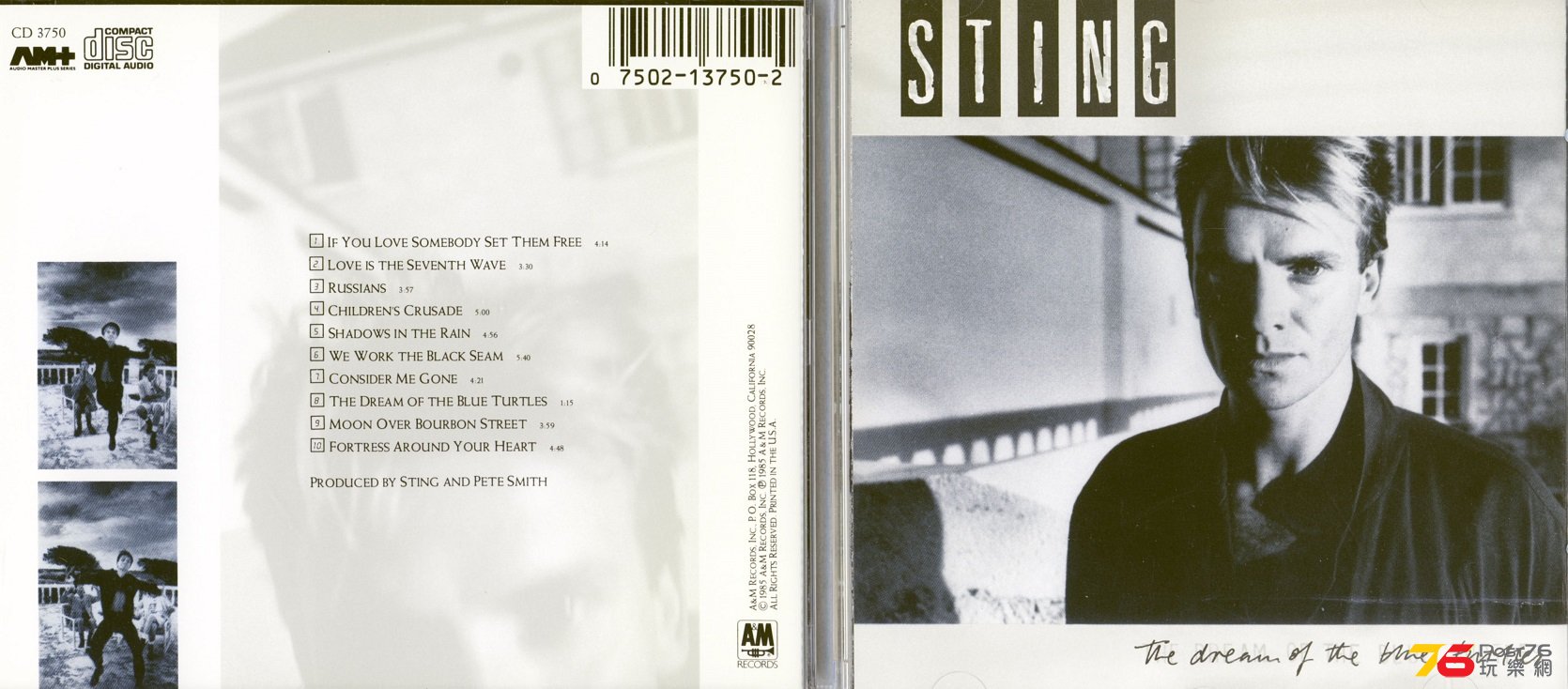 sting85dreamOfTheBlueTurtles.jpg