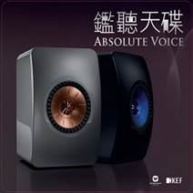 Absolute Voice.jpg