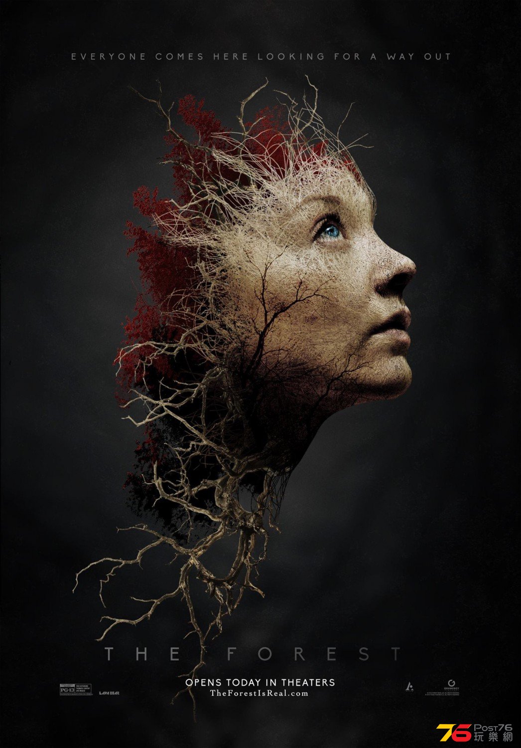 The Forest6.jpg