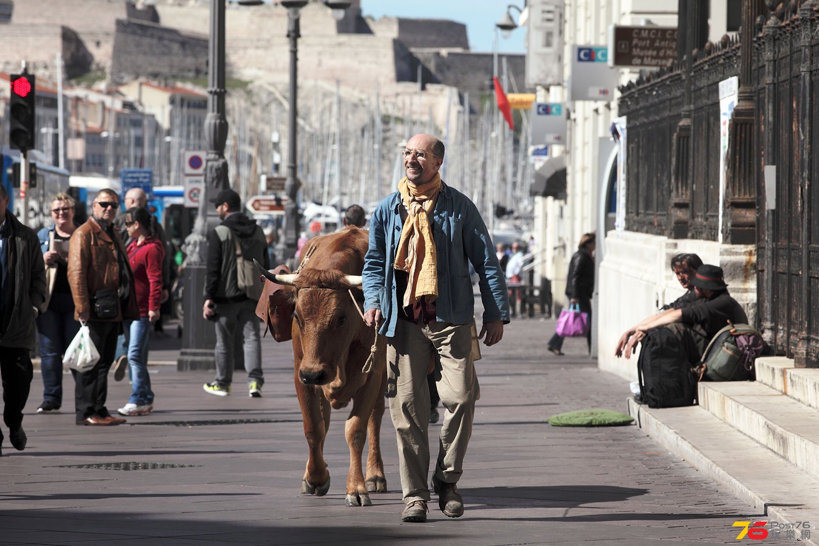 La Vache1.jpg