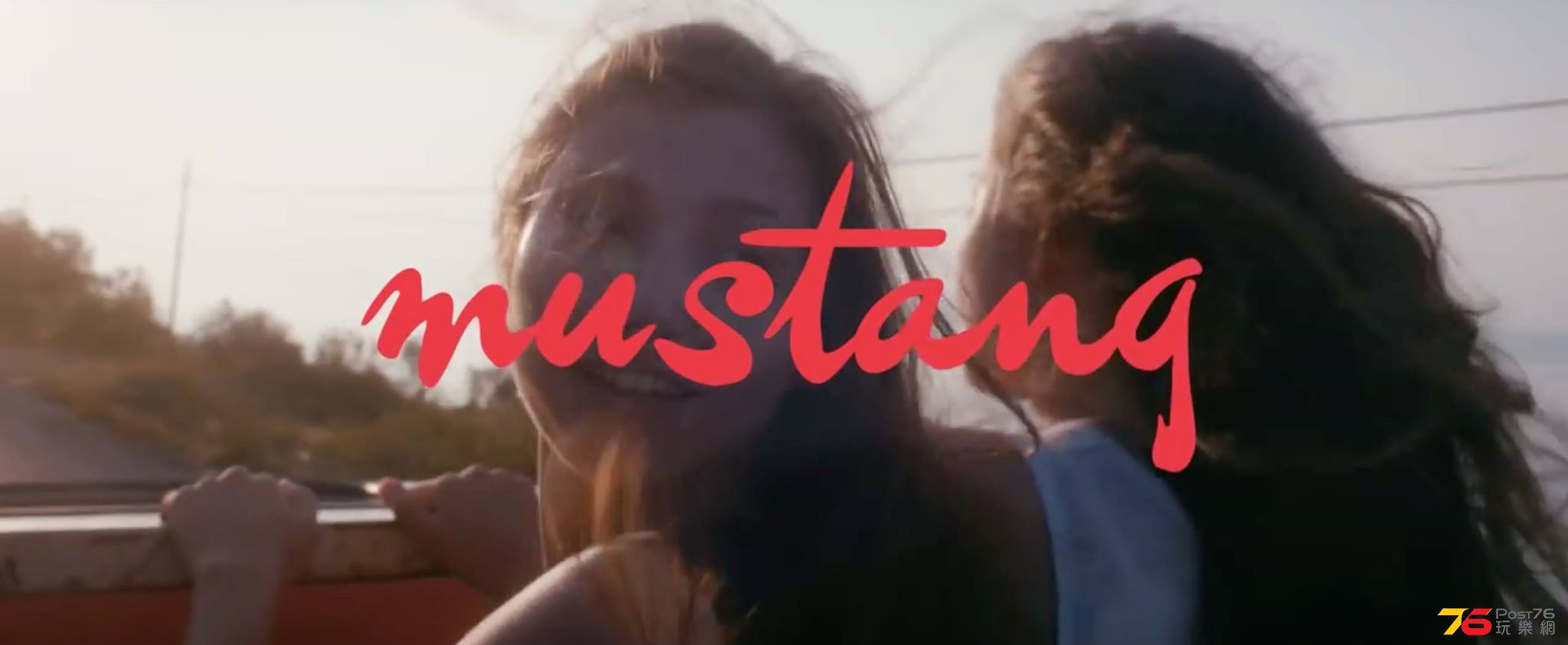 Mustang1.jpg