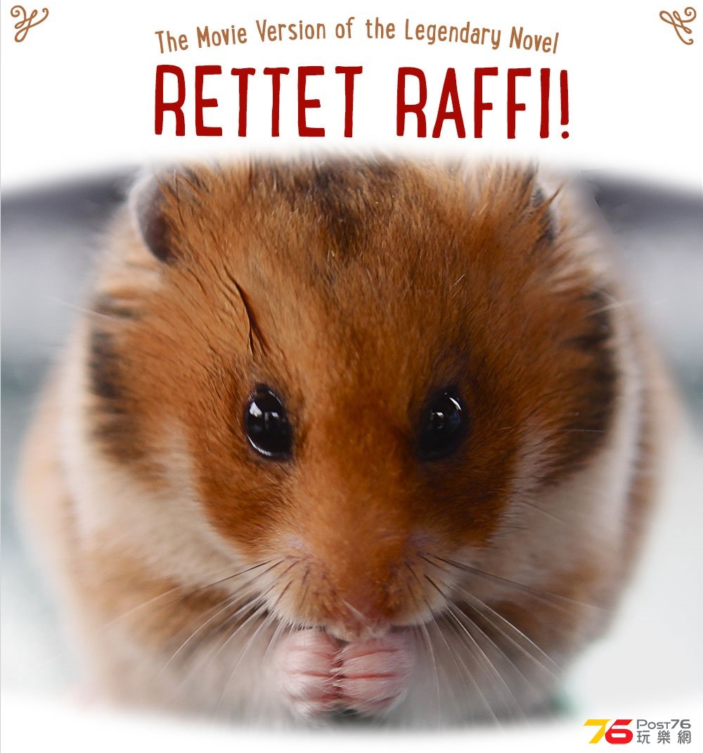 Rettet Raffi!.jpg