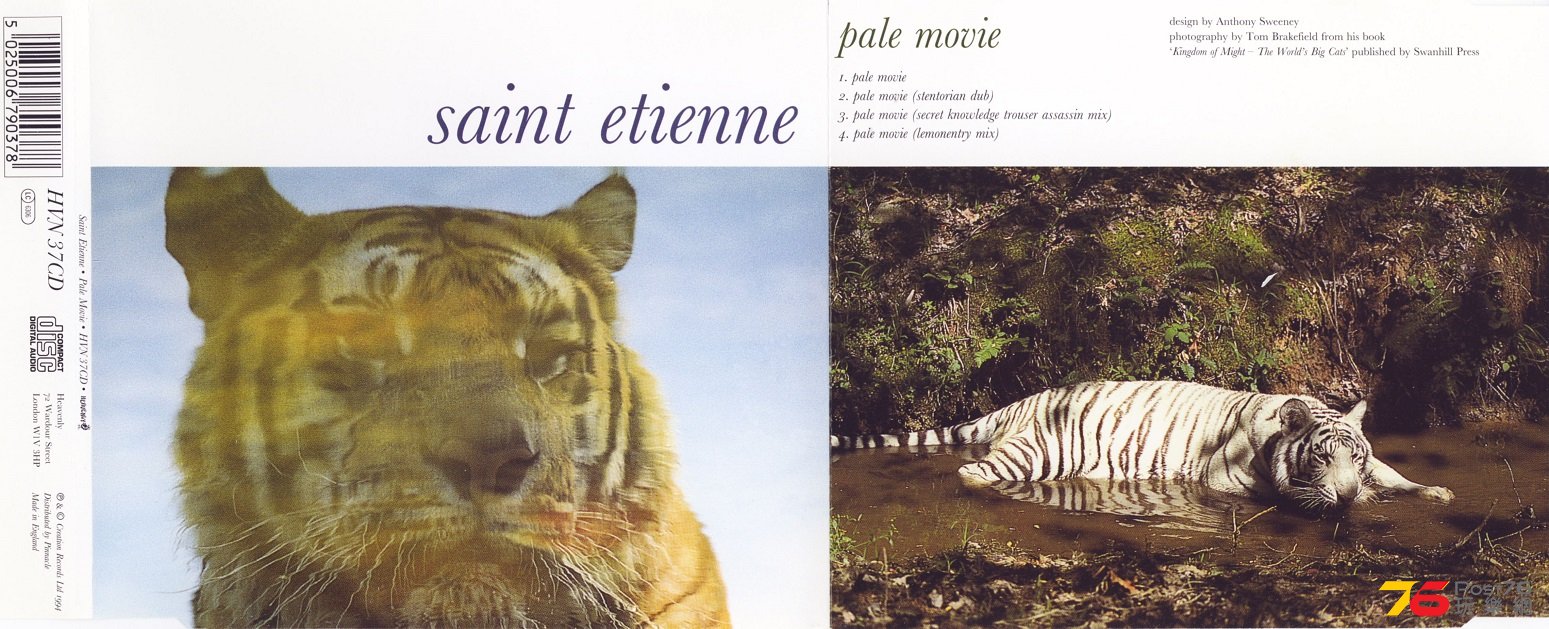 saintEtienne94paleMovie.jpg
