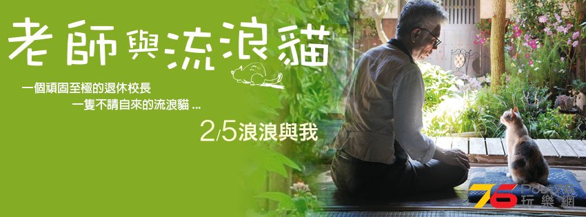 老師與流浪貓4.jpg