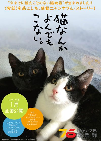 猫なんかよんでもこない.jpg