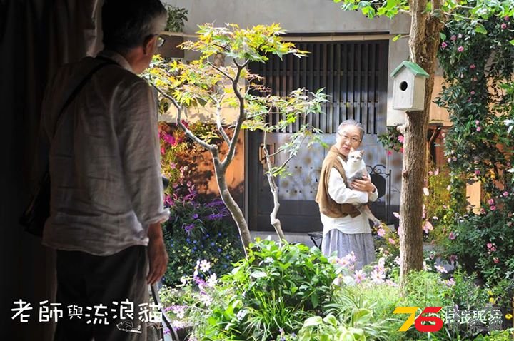 老師與流浪貓3.jpg